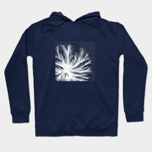 Mycelium in Petri dish (vector) Hoodie